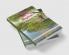 The Canopy of Rhythm : Poem Collection of Different Taste