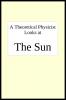 A theoretical physicist looks at THE SUN