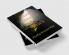 Short Stories & Tales