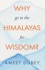 Why go to the Himalayas for Wisdom?