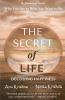 The Secret Of Life - Decoding Happiness