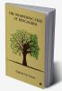 The Whispering Tree of Bengaluru