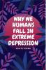 WHY WE HUMANS FALL IN EXTREME DEPRESSION : A journey to the nucleus of the atom