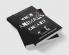 When Animals Cheat!? : A Book of Moral Biology