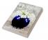 Snow Drop / स्नोड्रोप