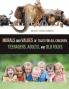 Morals and Values of Tales for Children Teenagers Adults and Old Folks