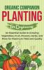 Organic Companion Planting for Beginners