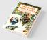 Illustrated Bible Stories : Young Folks' Bible In Words Of Easy Reading