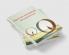 ENGLISH GRAMMAR AN OVERVIEW