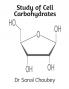 Study of Cell Carbohydrates : It presents detailed discussion of reducing sugar D-Ribose
