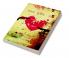 The Third truth / অধরা তৃতীয় সত্য