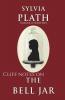Cliff Notes On The Bell Jar