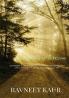 A road to horizon : Sometimes a one day journey to an unknown destination with a stranger is enough to change your life