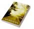 A road to horizon : Sometimes a one day journey to an unknown destination with a stranger is enough to change your life
