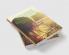 PROTECTION OF CHILDREN FROM SEXUAL OFFENCES: PERSPECTIVES AND CHALLENGES : Volume 1 Issue 2 of Brillopedia