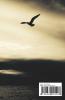 The Little Bird Can Fly High
