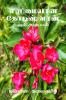 Elimayaana Kodeeshwaran / எளிமையான கோடிஷ்வரன் : முதல் அத்தியாயம்