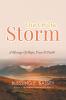 Out Of The Storm