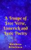 A Troupe of Free Verse Limerick and Lyric Poetry