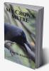 My Crow's Metre