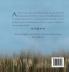 EagleHorse: A Dreamlike Journey of a Horse an Eagle and Little Red Moon