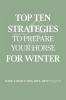 Top Ten Strategies To Prepare Your Horse For Winter