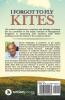 I Forgot To Fly Kites