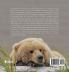 Advice from the Grizzly Bears
