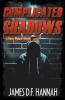 Complicated Shadows: 2 (Henry Malone Novel)
