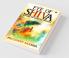 Eye Of Shiva : Beyond The Quantum Universe