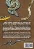 Giant Snakes: A Natural History