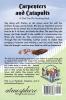 Carpenters and Catapults: A Girls Can Do Anything Book: 2