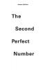 The Second Perfect Number
