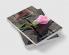 Desolate : The Pink Could Have Been Red