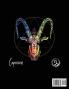 Capricorn Astrology Coloring Book