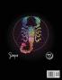 Scorpio Astrology Coloring Book
