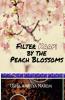 Filter Kaapi by the Peach Blossoms. : Filter Kaapi by the Peach Blossoms