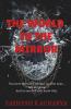 The World In The Mirror