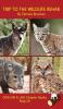 Trip To The Wildlife Rehab Chapter Book: Sound-Out Phonics Books Help Developing Readers including Students with Dyslexia Learn to Read (Step 10 in ... Books): 47 (Dog on a Log Chapter Books)