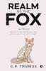 Realm Of The Fox: Indian Intelligence And The Spectre Of The Dark Enemy