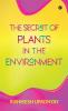 The Secret Of Plants In The Environment