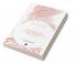 The Magic Bed A Book of East Indian Fairy-Tales