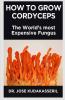 How To Grow Cordyceps The World’S Most Expensive Fungus