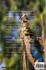 Ayush Rajotia : Best Photography Series