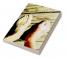 Prevalence of vitamin D deficiency in patients with diabetic foot infection and its effect on healing. : vitamin D deficiency in Diabetic foot infection