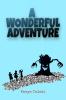 A Wonderful Adventure