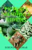 PICTURES MEMOIRS & STORIES