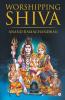 Worshipping Shiva