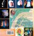 Holy Spirit Mystifying Scriptures Volume 1