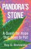Pandora's Stone